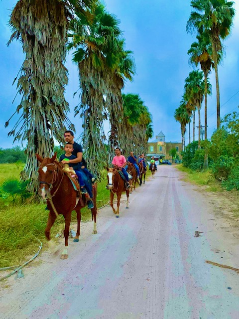 Family Riding Horses